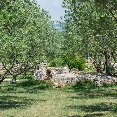 Family Friendly House With A Swimming Pool Pakostane, Biograd - 12185 Casa vacanze Pakoštane