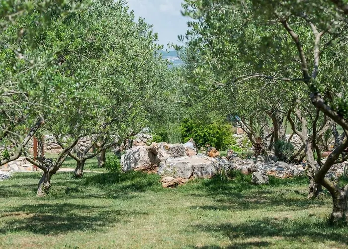 Family Friendly House With A Swimming Pool Pakostane, Biograd - 12185 Дом отдыха Пакоштане